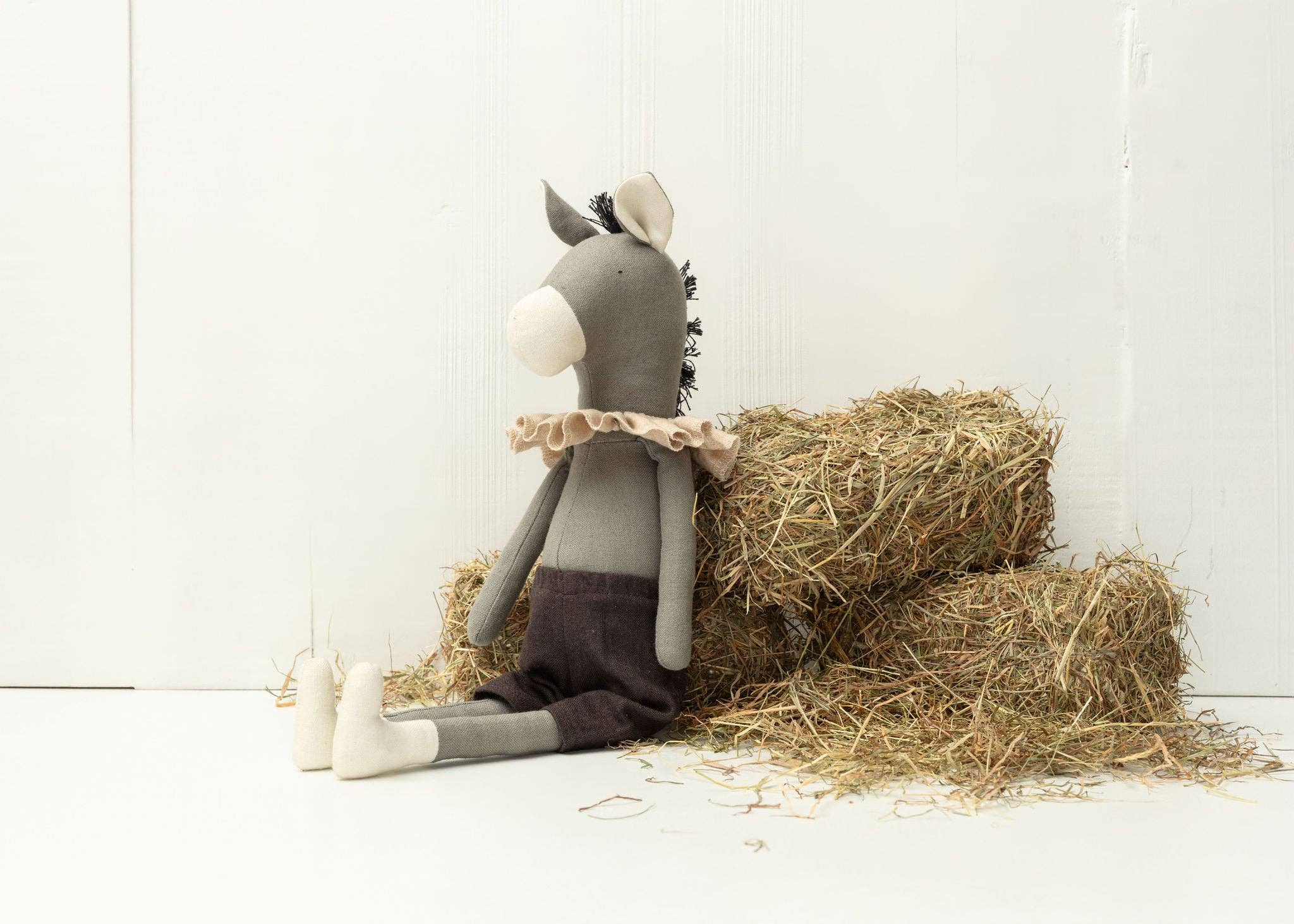 Darwin the Donkey - Image 4