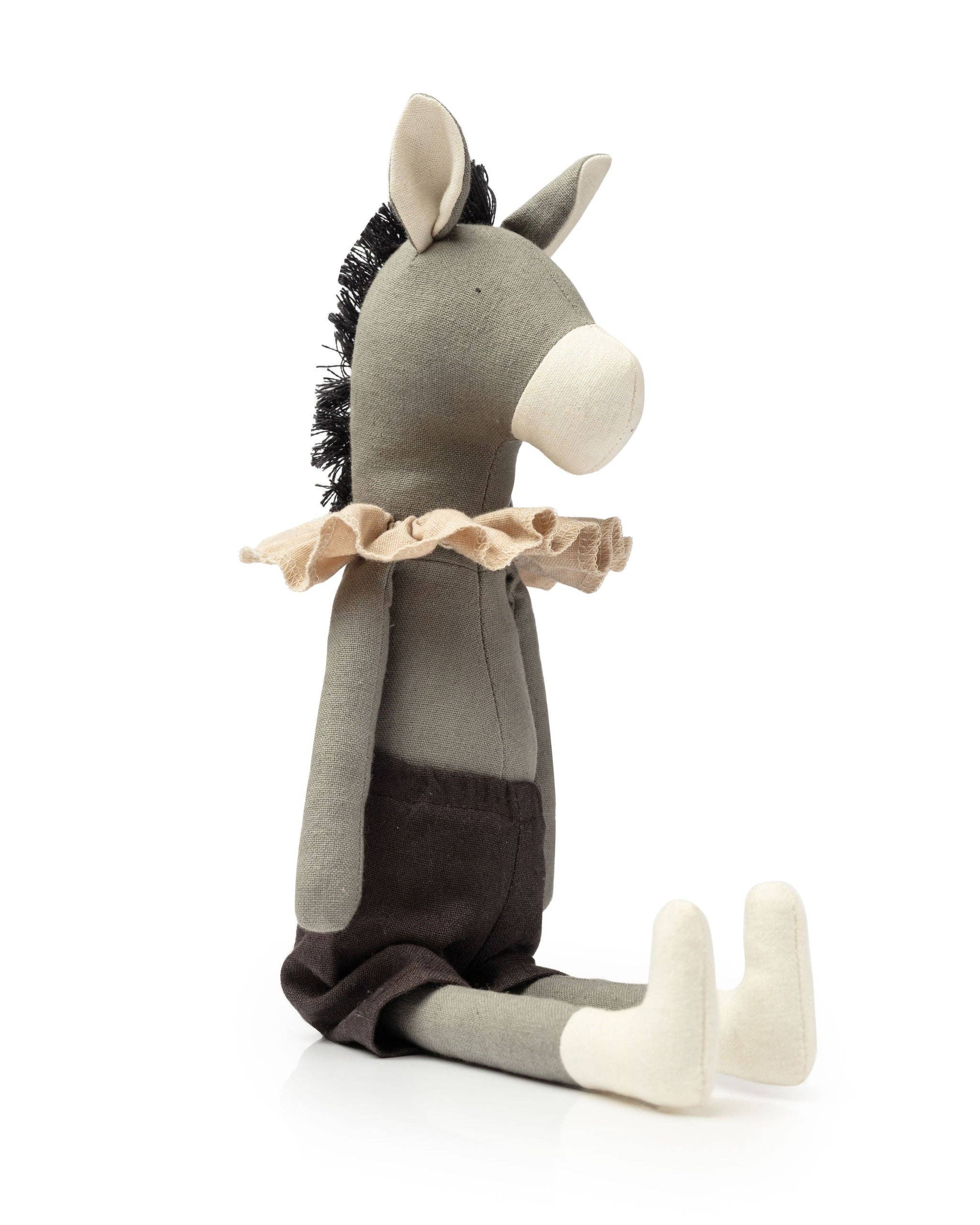 Darwin the Donkey - Image 2