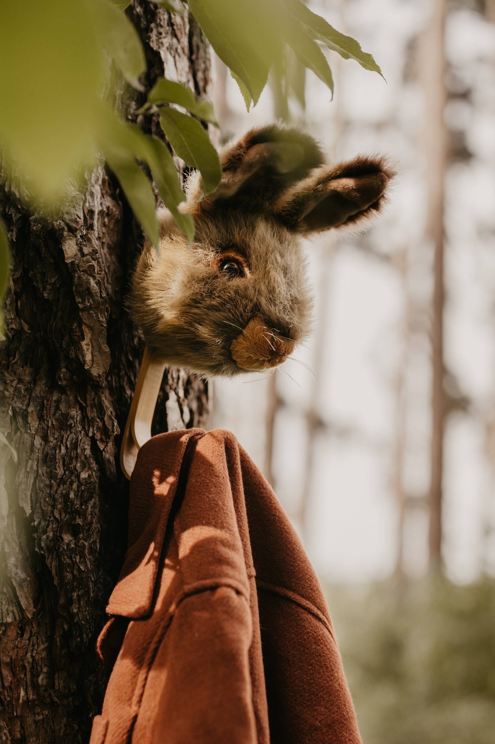 Coat Hanger - Brown Bunny - Image 4