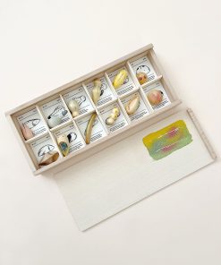 Grapat Wild Exploration Play Set