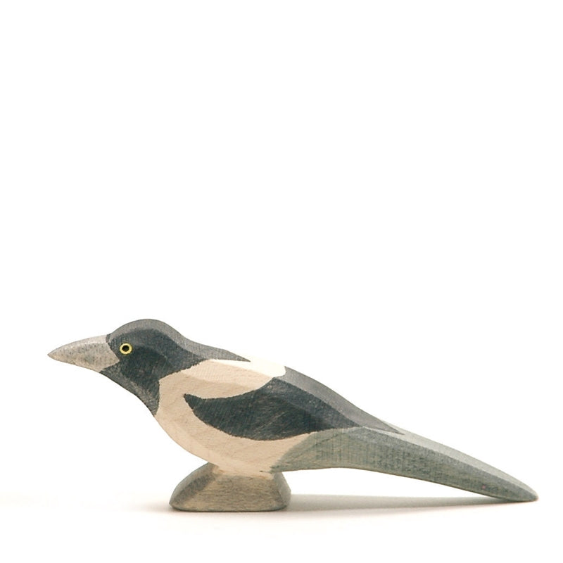 Ostheimer Magpie Bird - Image 2